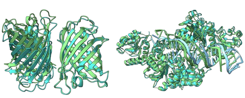 MIT 研究人员推出Boltz-1：首个在生物分子结构预测方面达到 AlphaFold3 精度的开源 AI 模型